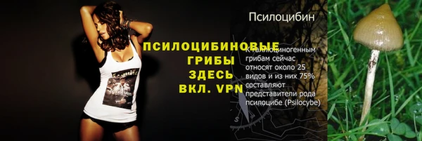 spice Армянск
